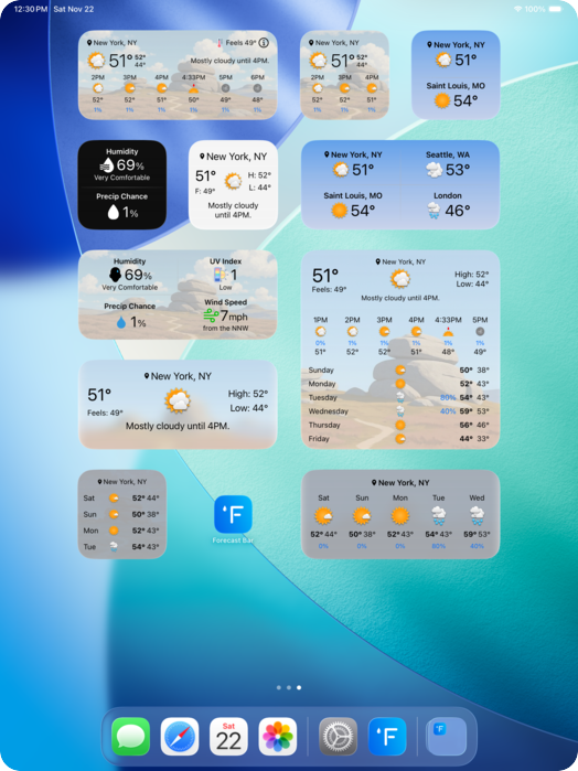 iPad home screen covered in Forecast Bar widgets of every size
